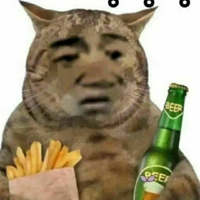 哦哦哦哦哦哦哦哦