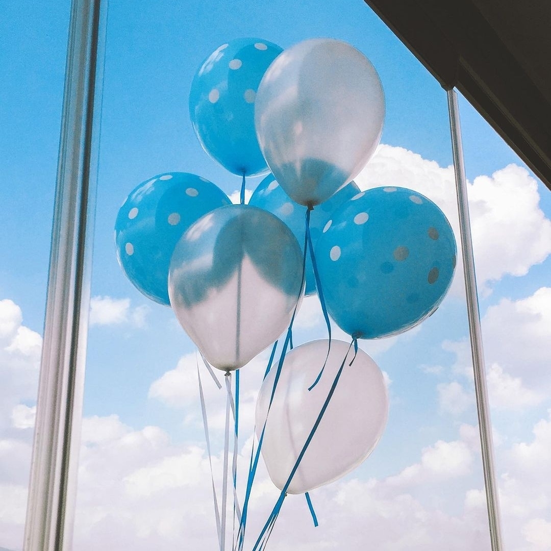 要吃桂鱼的松鼠