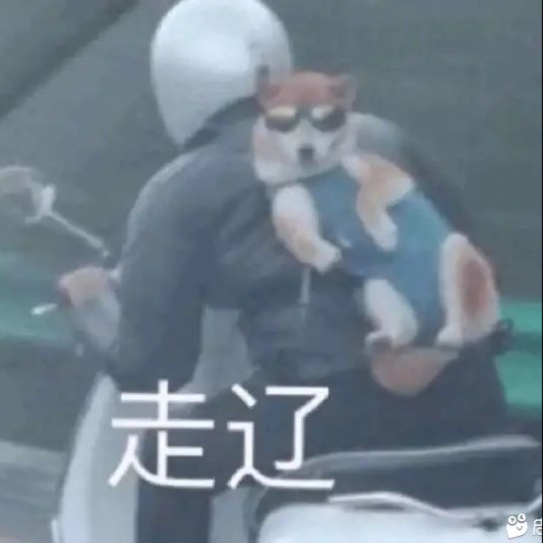 不必落俗浪漫不死