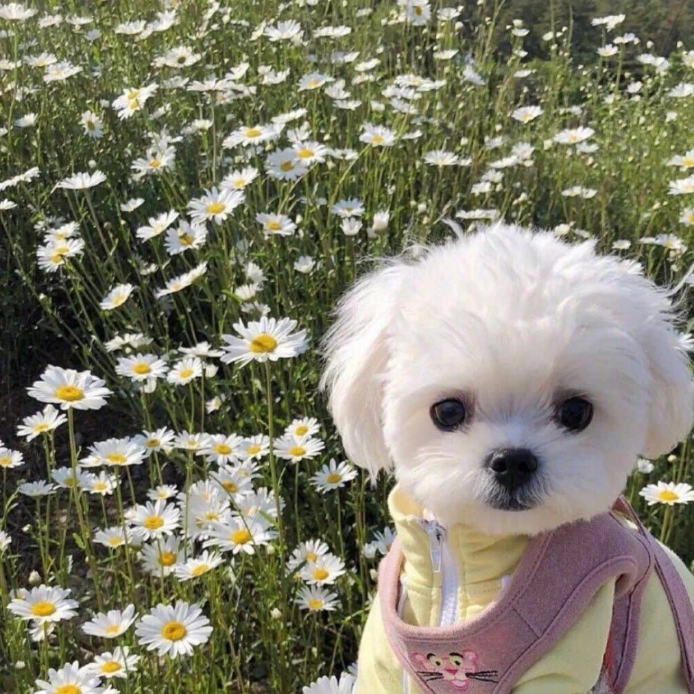 跟翔翔子说晚安了吗