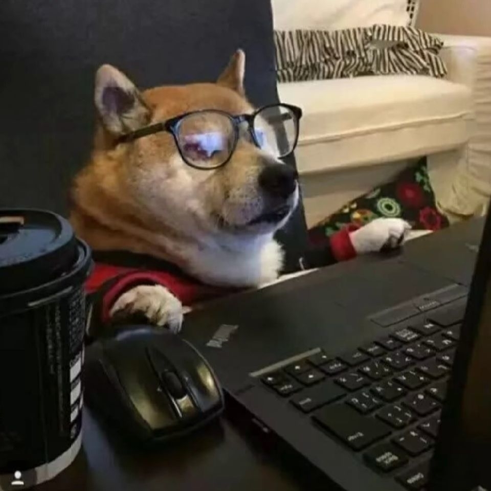 爱吃三丝一果的飞行员