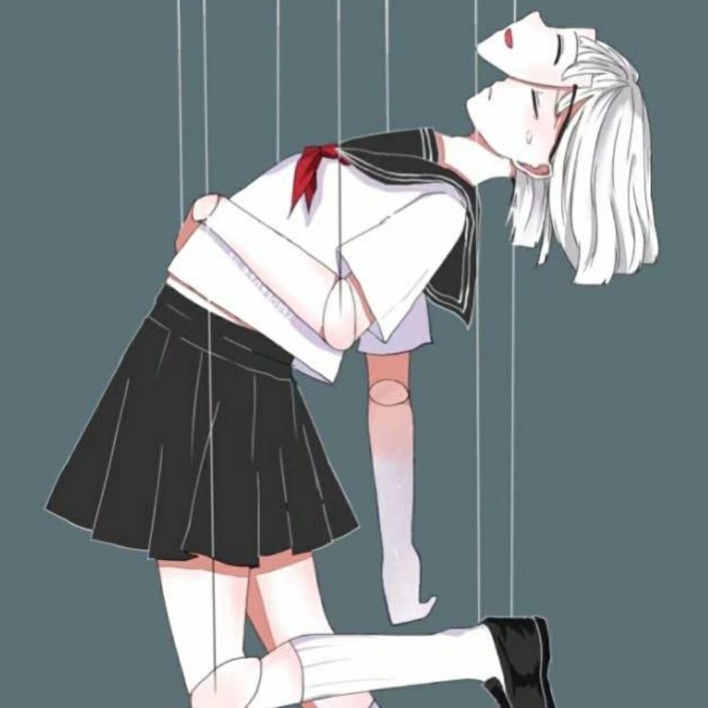 胡同里的波斯猫1