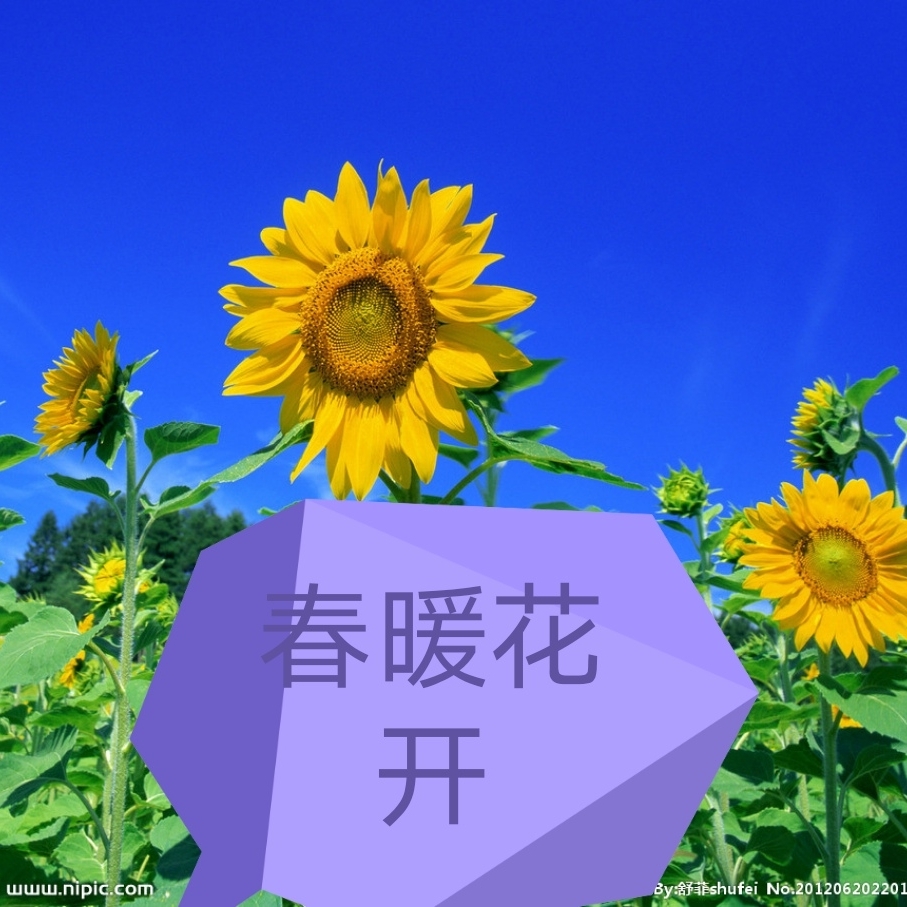 春暧花开888888