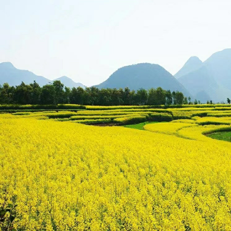 long春夏秋冬又一春