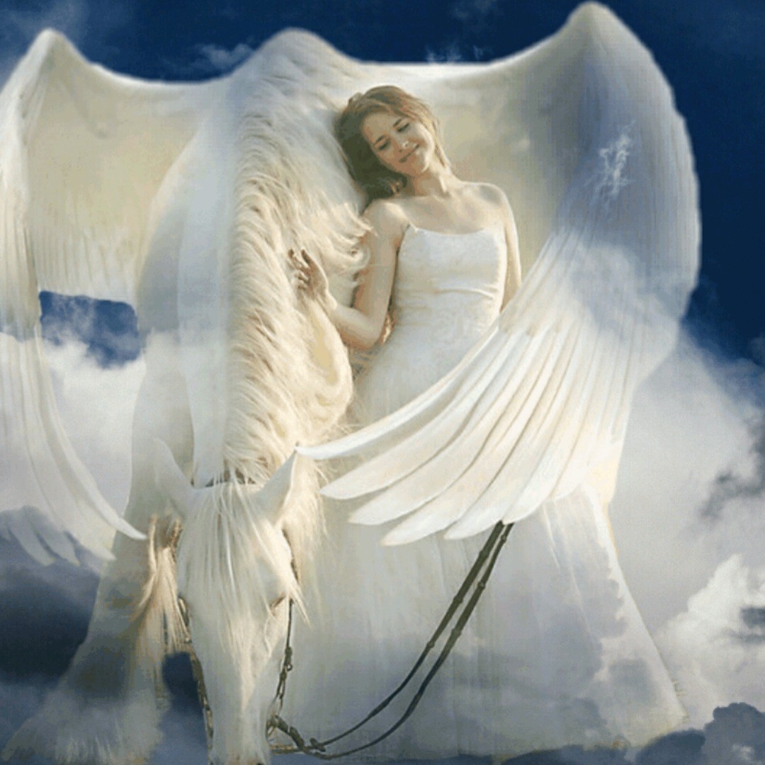 一闪一闪亮晶晶