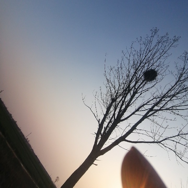 过眼云烟烟花好