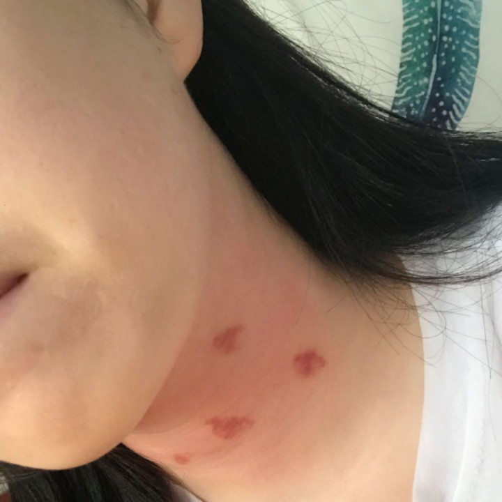 爱吃乌骨鸡汤的黑糖很轻松