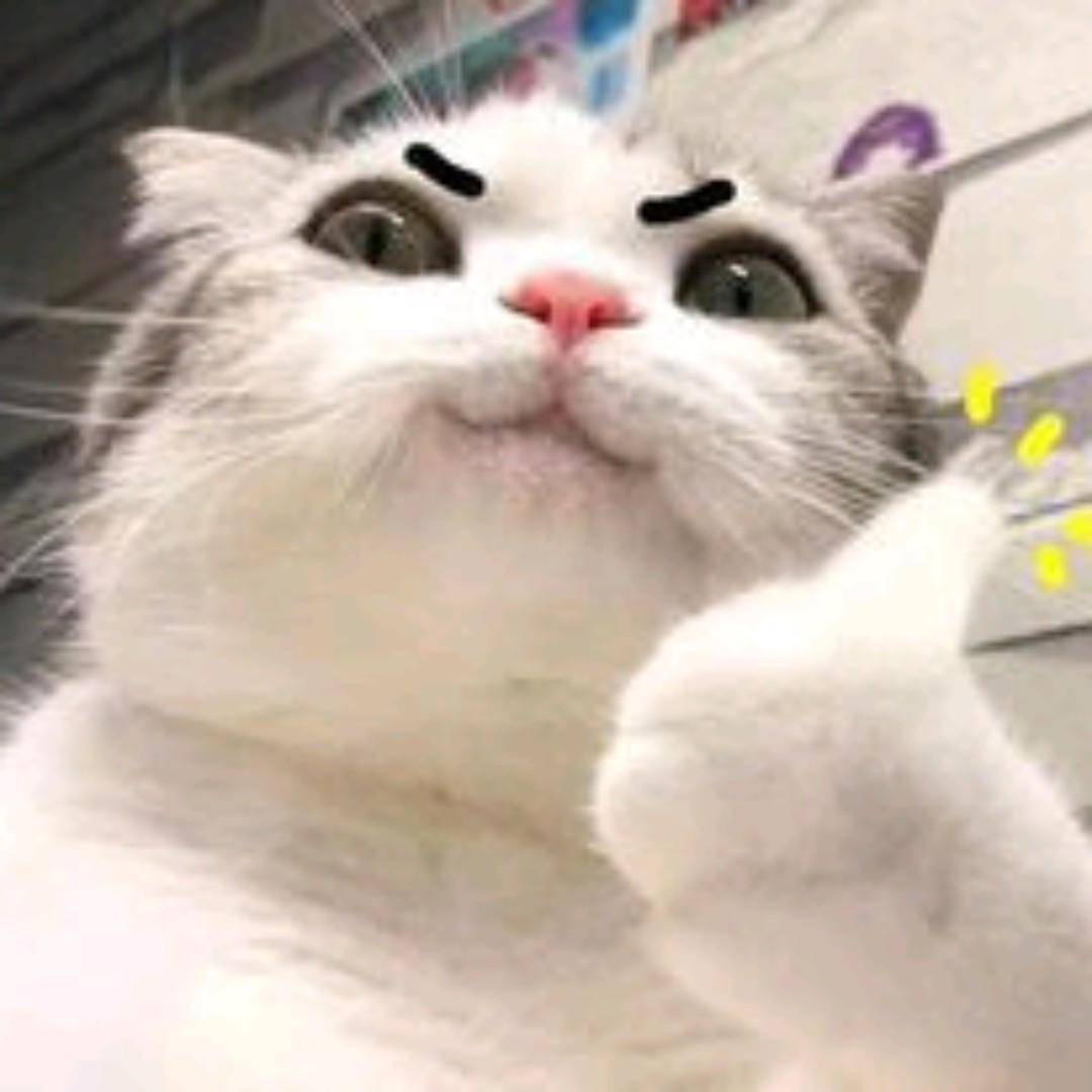 绿茸茸的丹佛rb