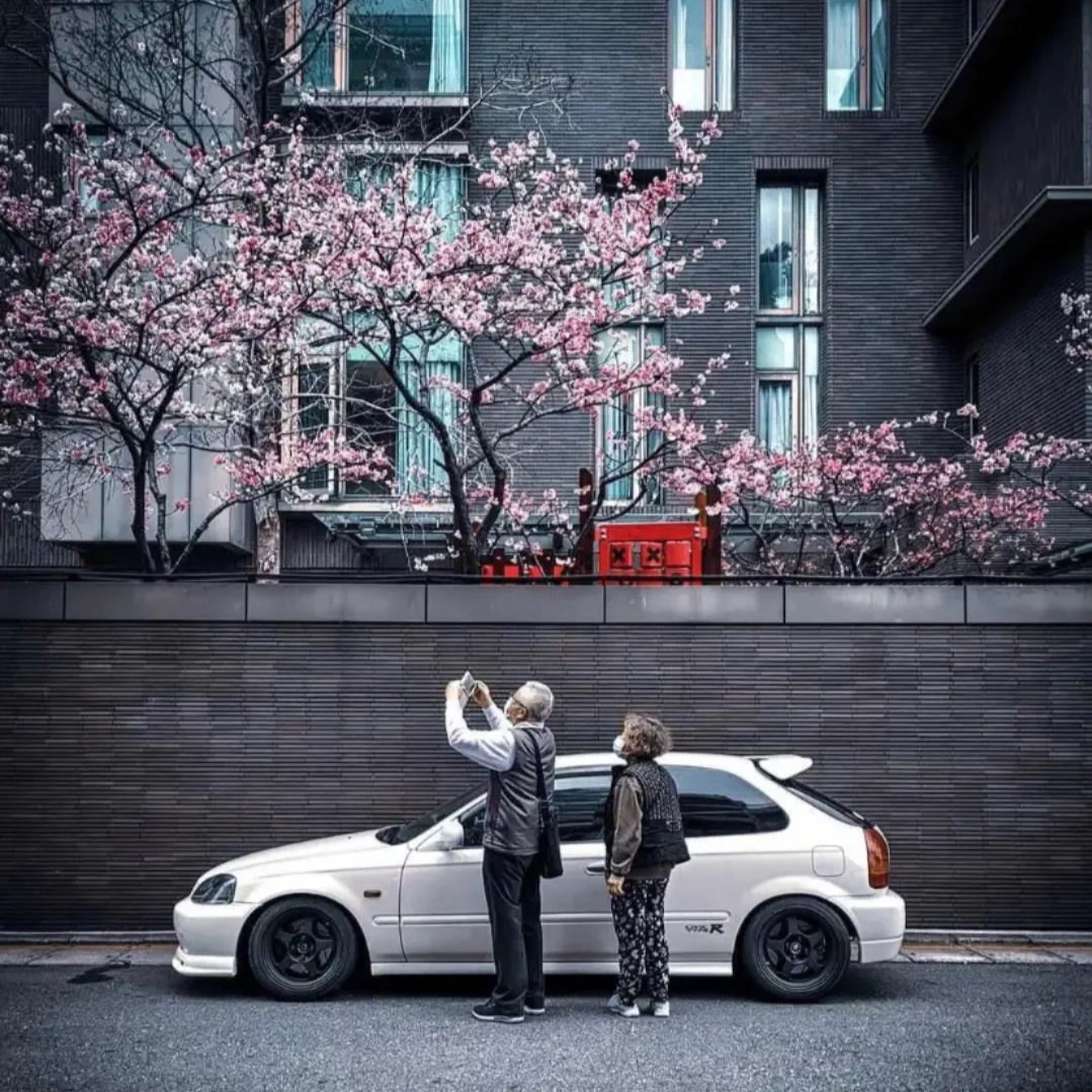 爱吃麻辣牛腱的奶油