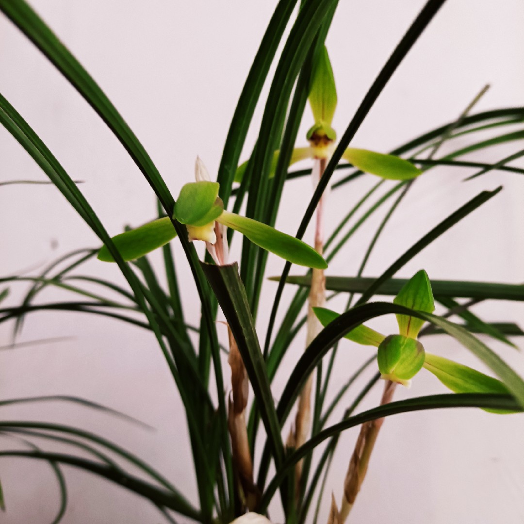 独乐乐不如众乐乐xx