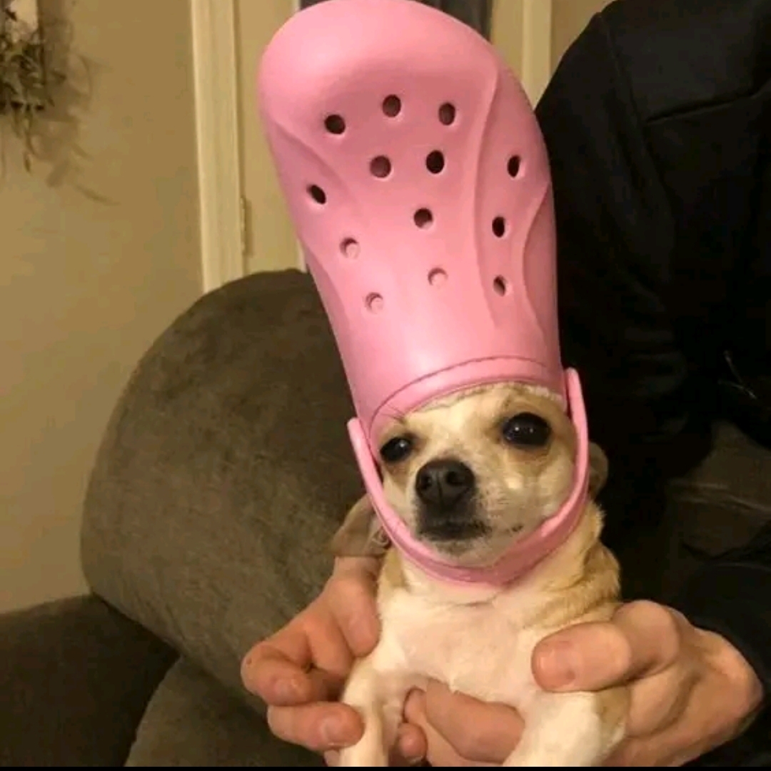 牛逼哄哄的勒:D