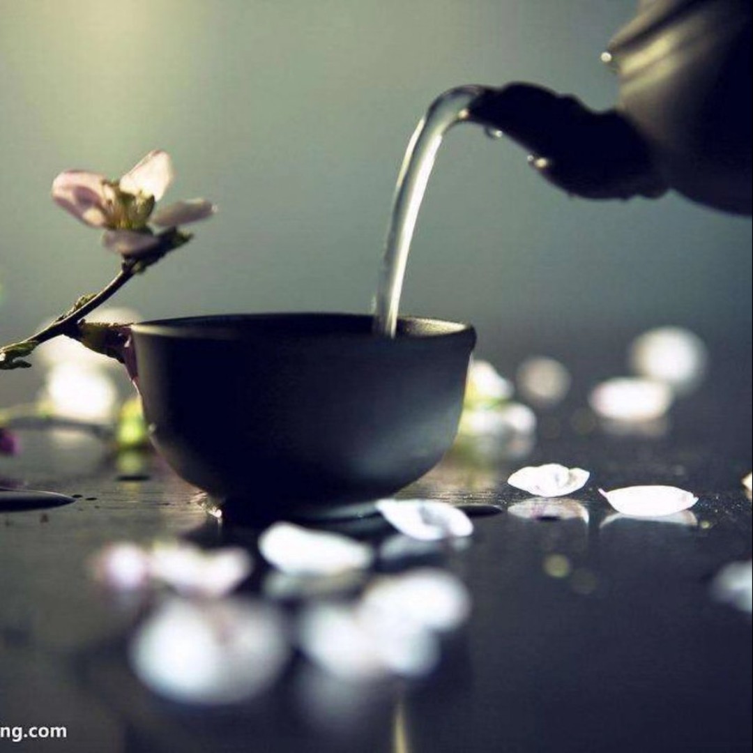 不吃肉的小猴纸