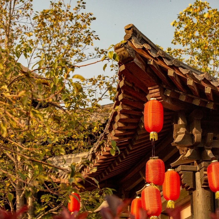 海盗船长路飞队长