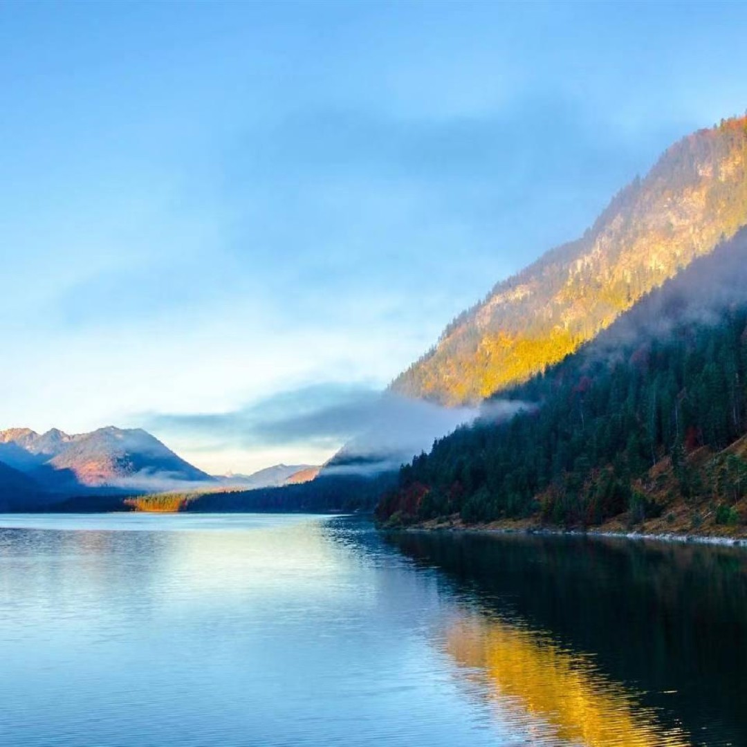 爱吃香浓咖啡的蜜瓜