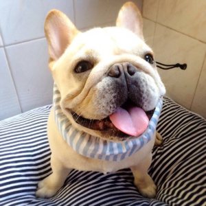 我丑请你们让一让