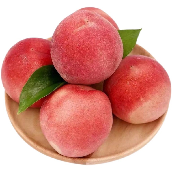 绿茸茸的金星苹果