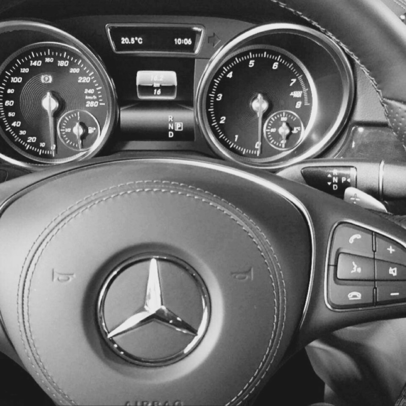 摇曳在风中的柳絮