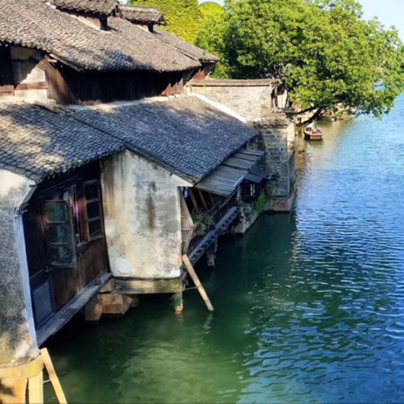 麻子哥小李飞刀