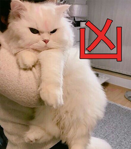 爱漂亮嘟嘟梓心