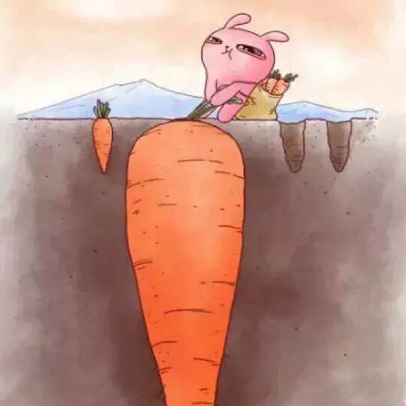 灰姑娘娘娘小小