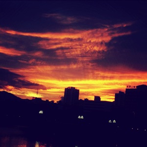 我是莫得感情的啥手