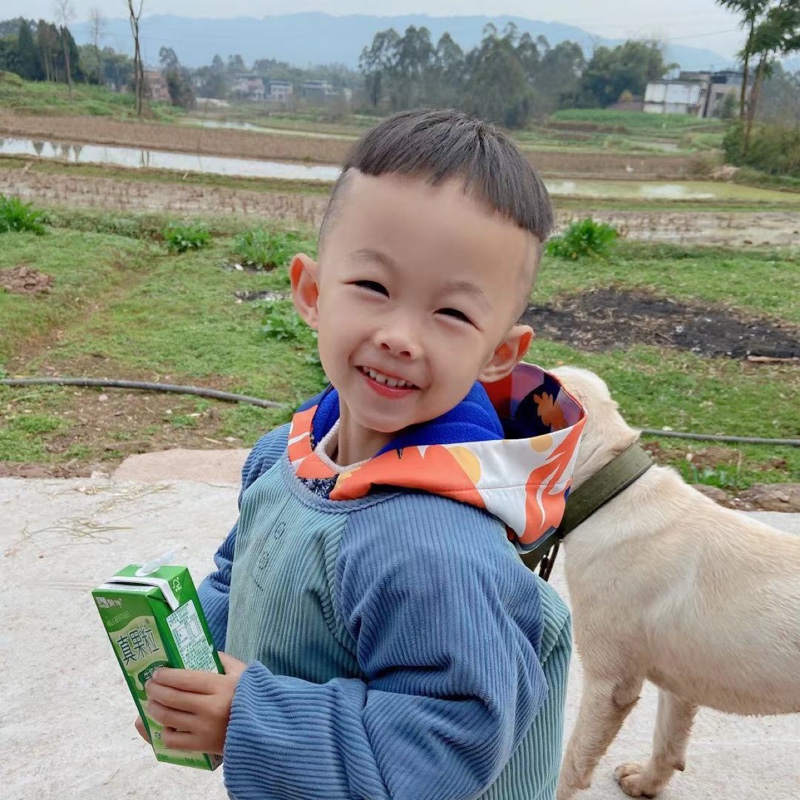 绿色的滇红金针