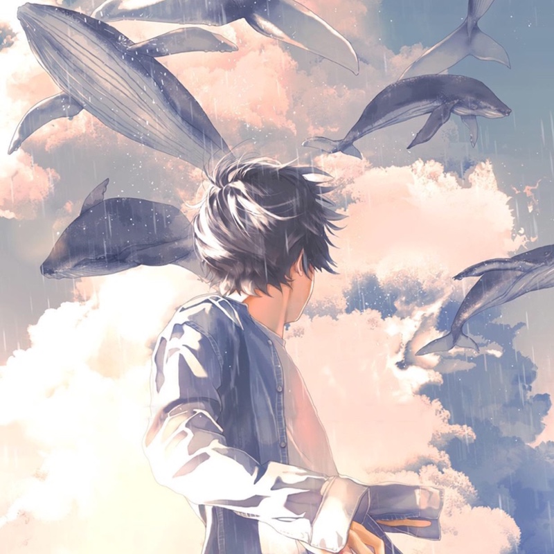 粉红毛毛兔子侠