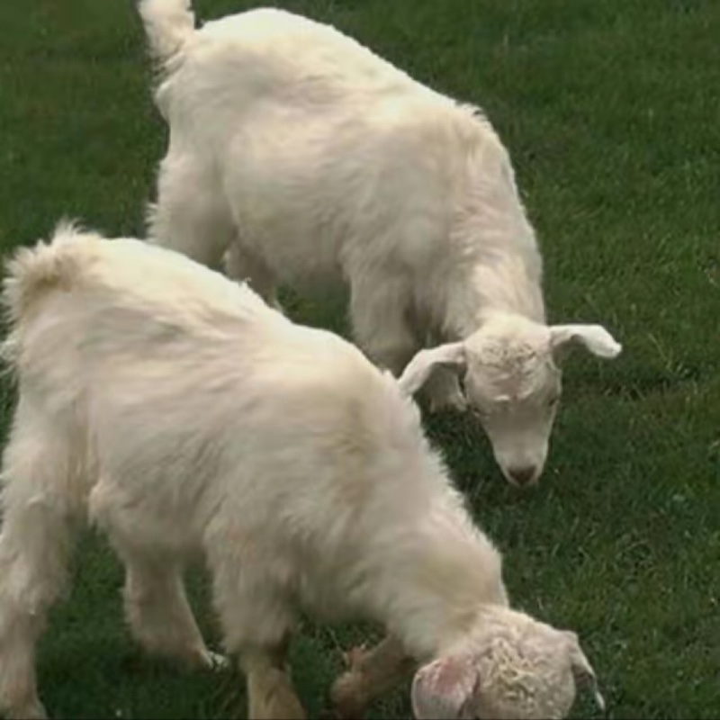 不要叫我冠希了