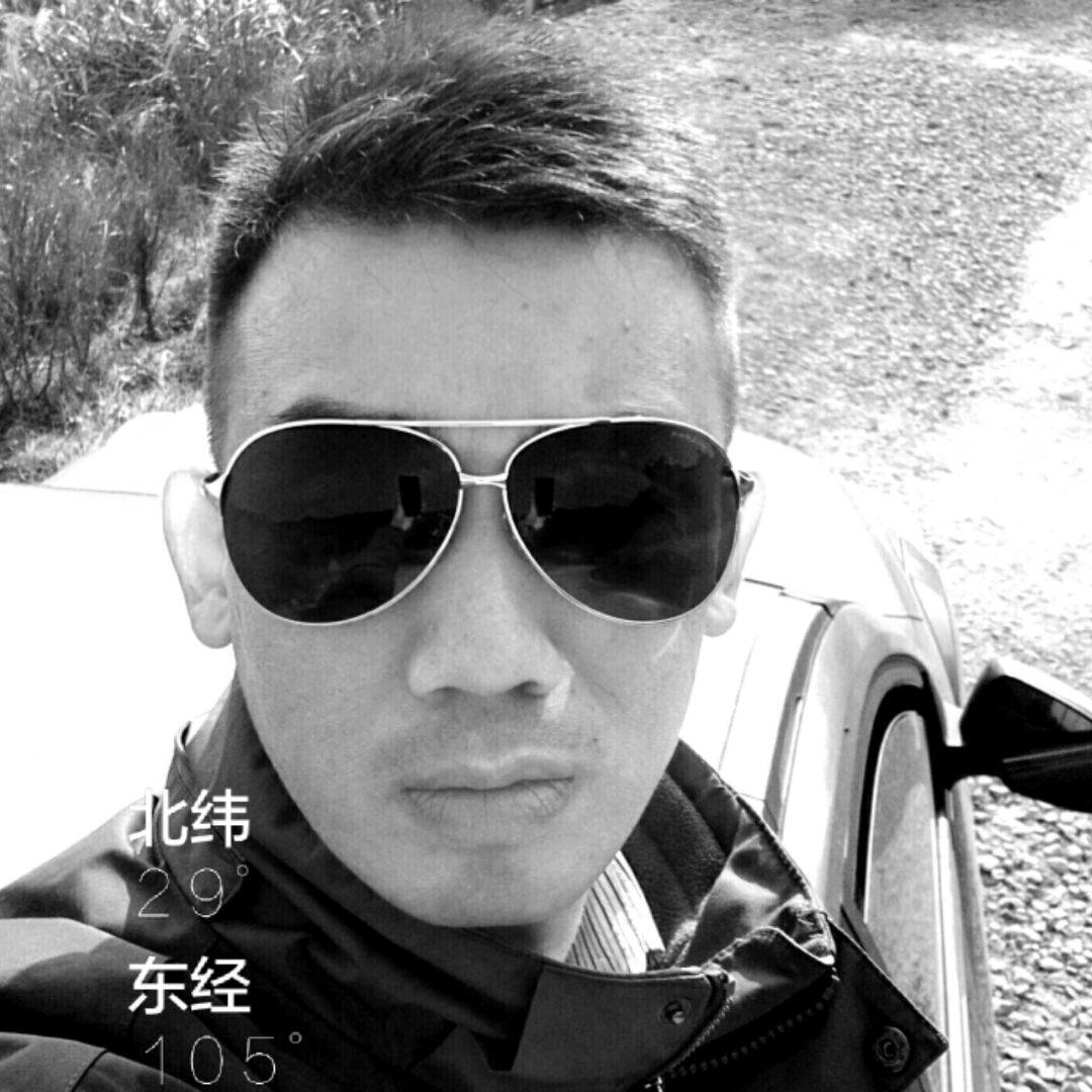 杨羊林子大了什么鸟都有