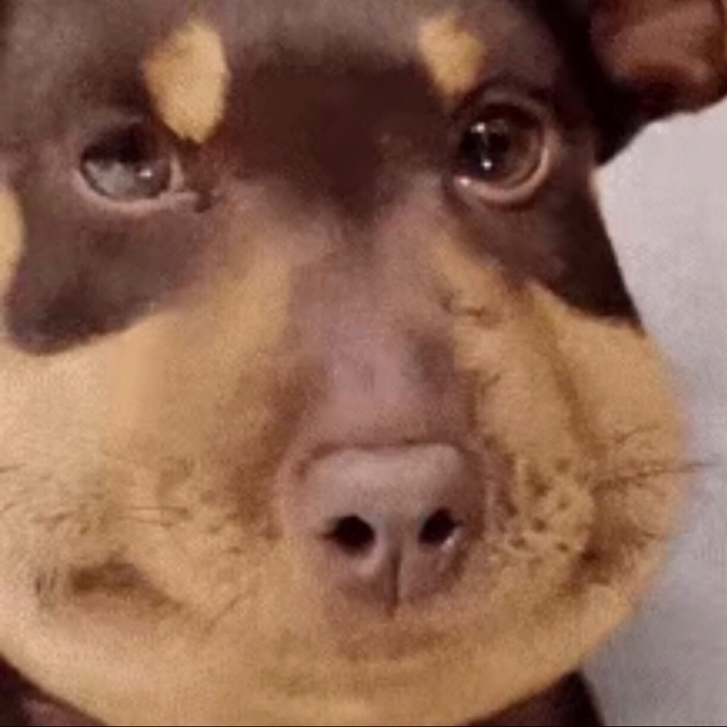 粉红色的土豆泥