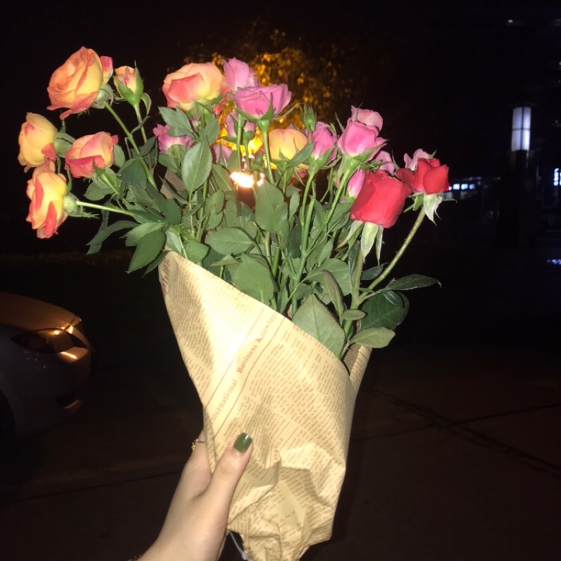 爱上美人鱼的鲨鱼