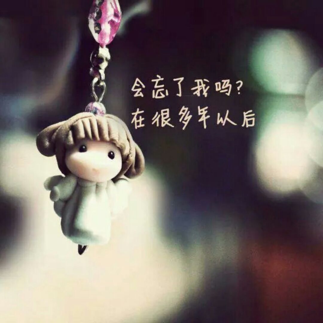 开心的小猪86888