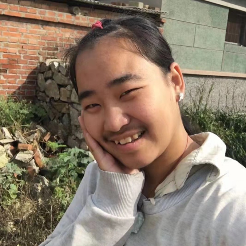 爱吃慕斯蛋糕的西瓜