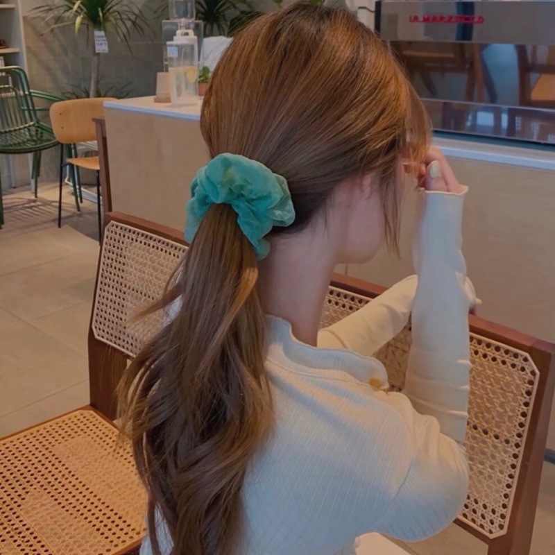 爱吃色拉豆腐的无尾熊