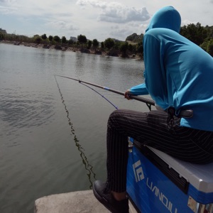 江湖人称小诸葛！