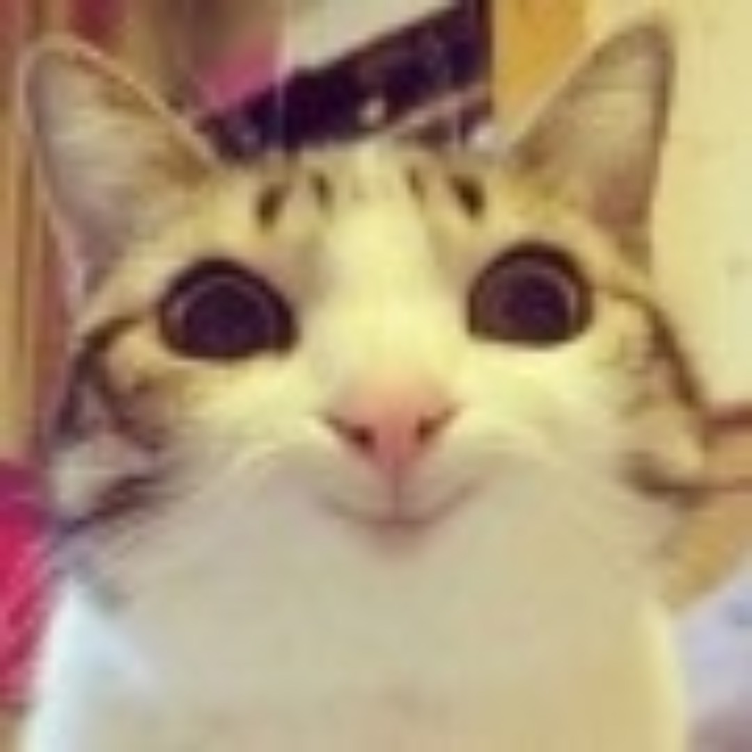 巫婆爱上小公举