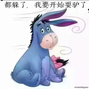 鸭蛋白