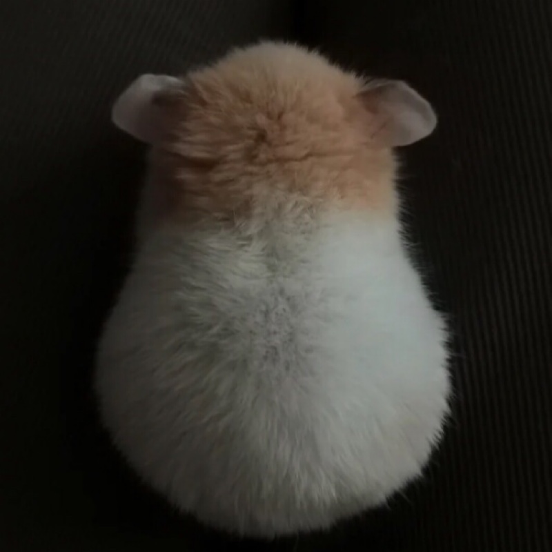 卖女孩的小棒棒7998