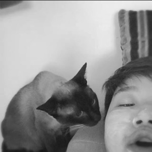 来不及认真青年