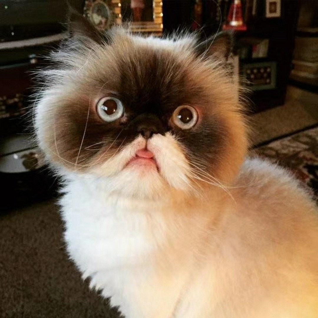 学书法便利贴18