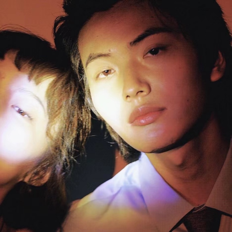 天马星常见的扁豆