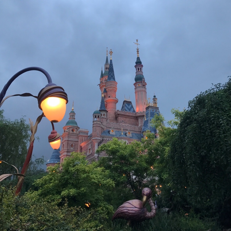 今天也要加油鸭QwQ