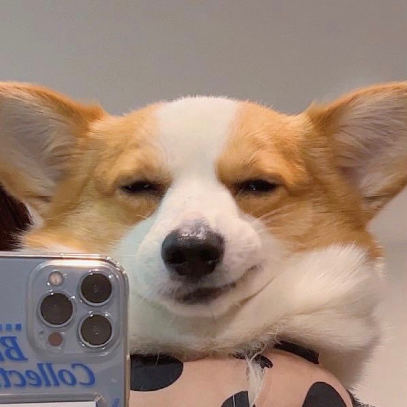 为什么还没睡醒