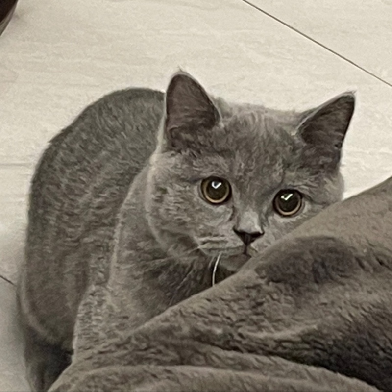 我不知道你是什么星座