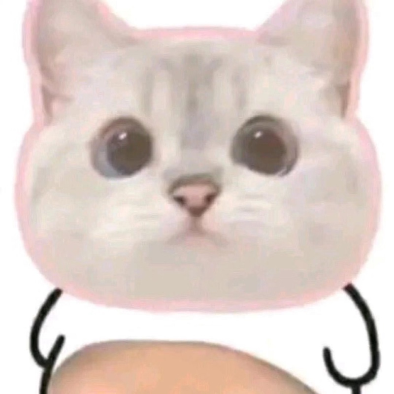 爱吃西瓜冰沙的小迷糊