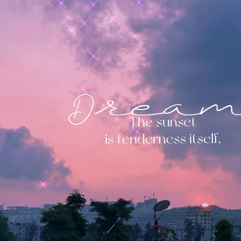 西红柿不是番茄0