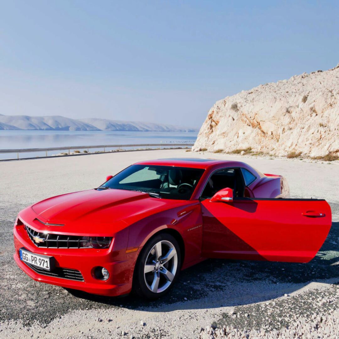 大树和小草一起成长