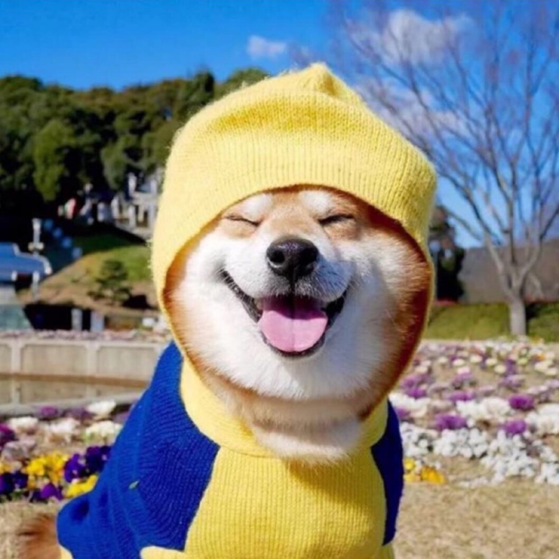 老鹅的故事堆雪人