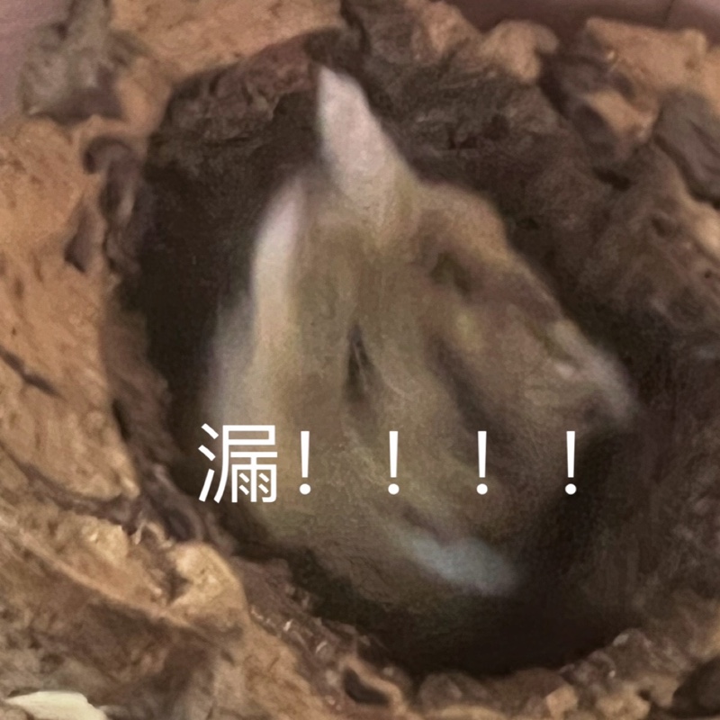 不要总是犯傻啊