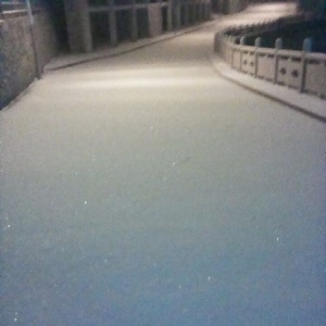 荧光色的桃尘醉